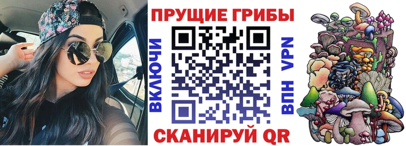 Галлюциногенные грибы Cubensis  сайты даркнета наркотические препараты  Белая Калитва 