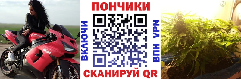 Конопля сатива  ссылка на мегу ССЫЛКА  Белая Калитва 
